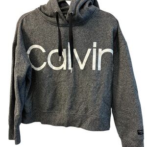Calvin Klein Gray Hoodie